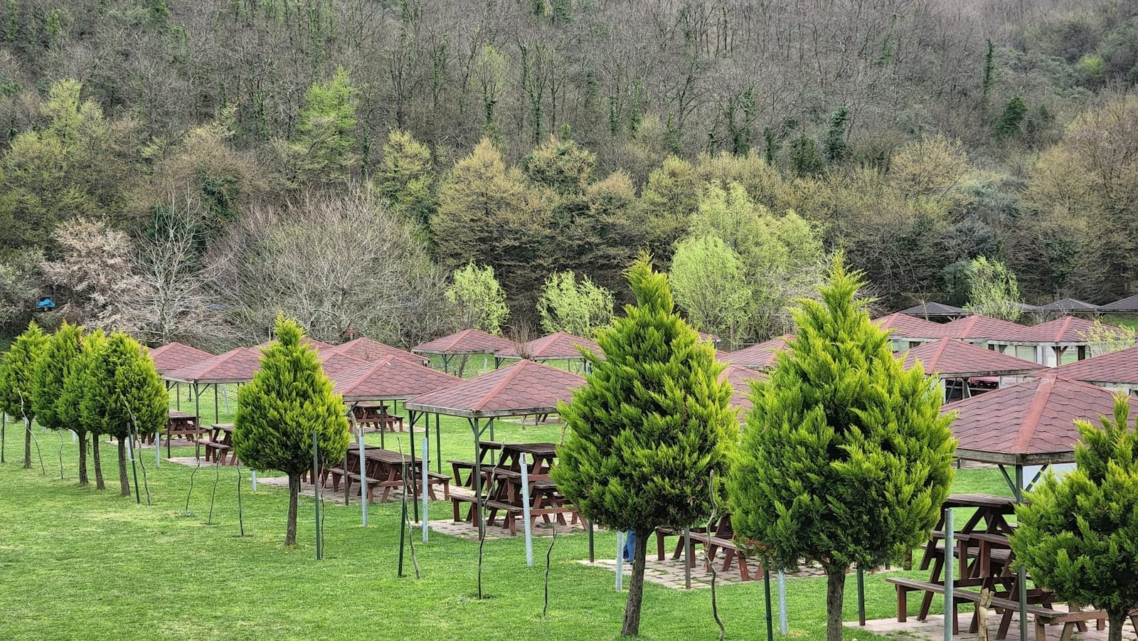 File di tavoli da picnic coperti e gazebo in legno nel Parco Naturale di Polonezköy, circondati da alberi verdi e un versante boscoso.