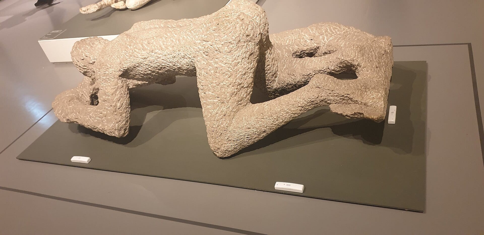 Molde de gesso de uma vítima de Pompeia exibido em um museu, mostrando a impressão detalhada de uma pessoa em posição de engatinhar.