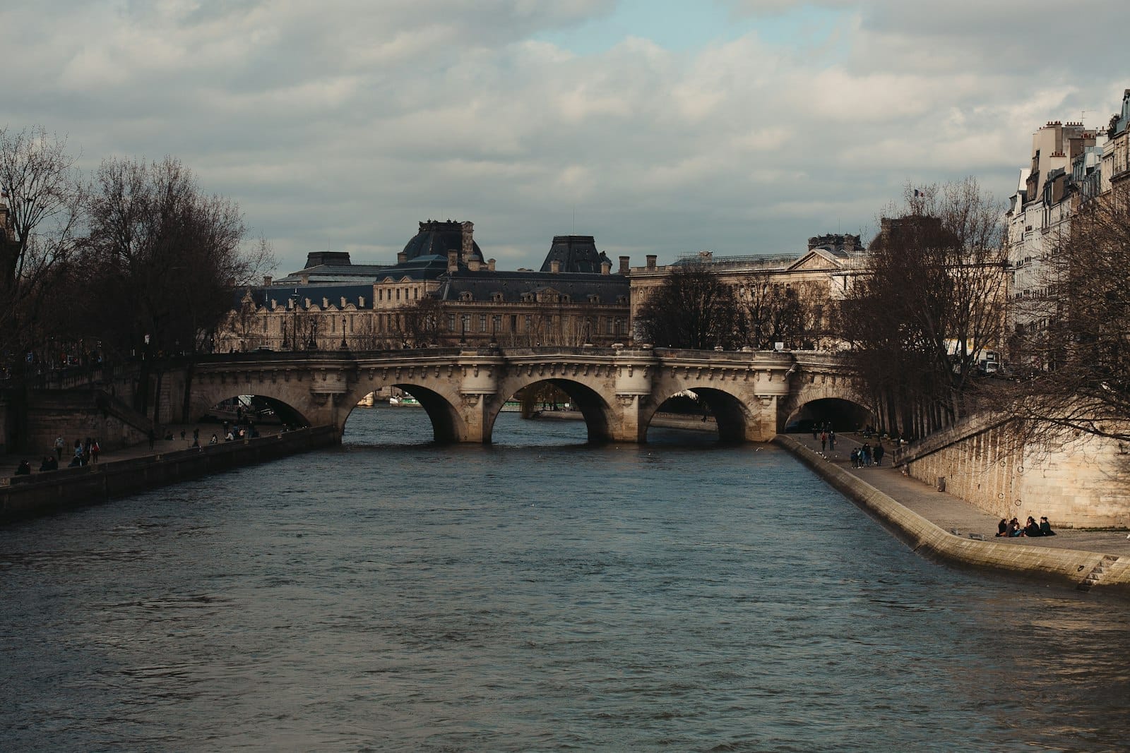 Il Pont Neuf si estende sulla Senna a Parigi, incorniciato da edifici storici e alberi sotto un cielo nuvoloso, visto dal fiume.
