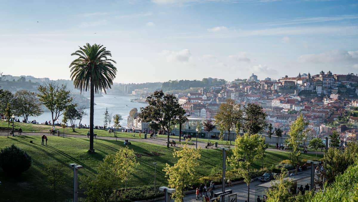 Parc riverain pittoresque à Porto avec palmier, allées piétonnes et personnes profitant de l'espace vert surplombant le fleuve Douro et la ville.