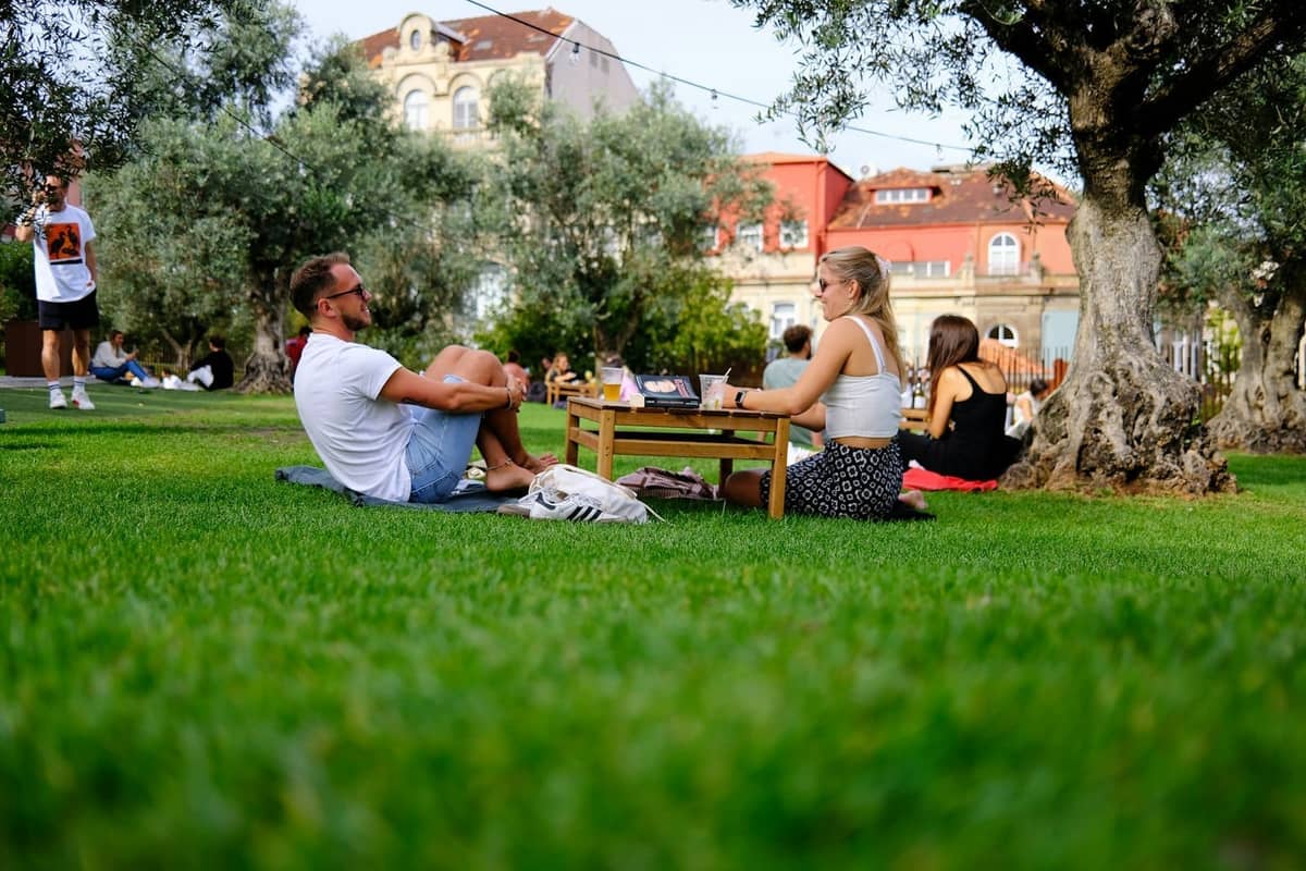 Persone che si rilassano sull'erba sotto gli ulivi in un soleggiato parco urbano, con la classica architettura di Porto visibile sullo sfondo.