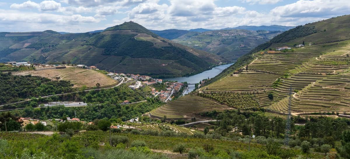 Ampia vista panoramica dei vigneti terrazzati della Valle del Douro, delle colline verdi e del fiume Douro che scorre sinuoso vicino al villaggio di Pinhão sotto un cielo parzialmente nuvoloso.