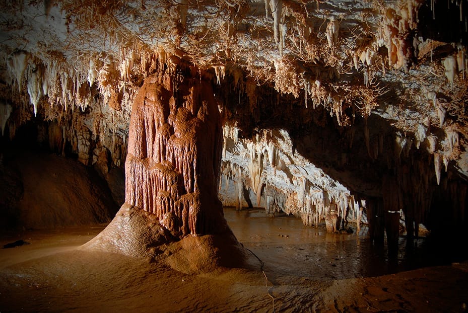 Innenansicht der Höhle Pozalagua mit großen Stalagmiten und exzentrischen Stalaktiten, die durch warmes Licht in der unterirdischen Kammer beleuchtet werden.