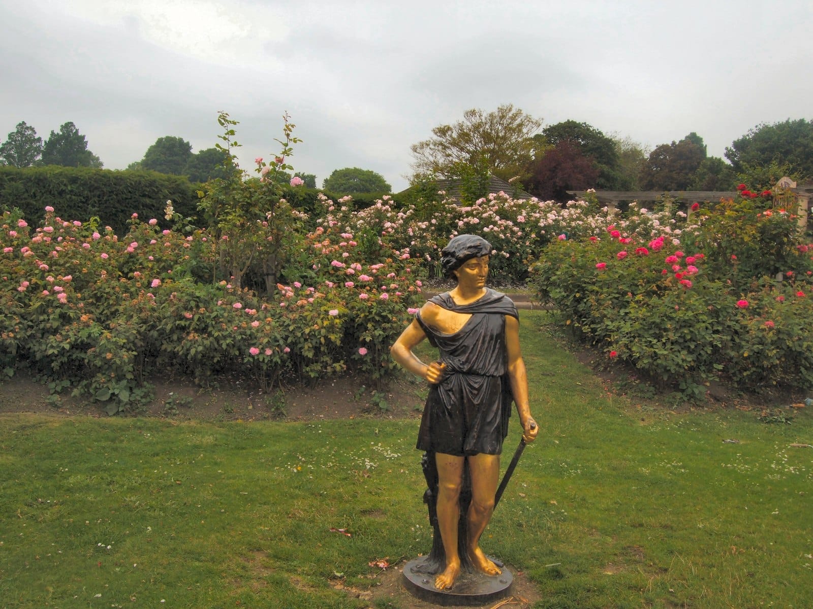 Bronze statue standing among vibrant rose bushes and lush greenery in the formal gardens section (Rose Garden) of Preston Park, Brighton, under an overcast sky.