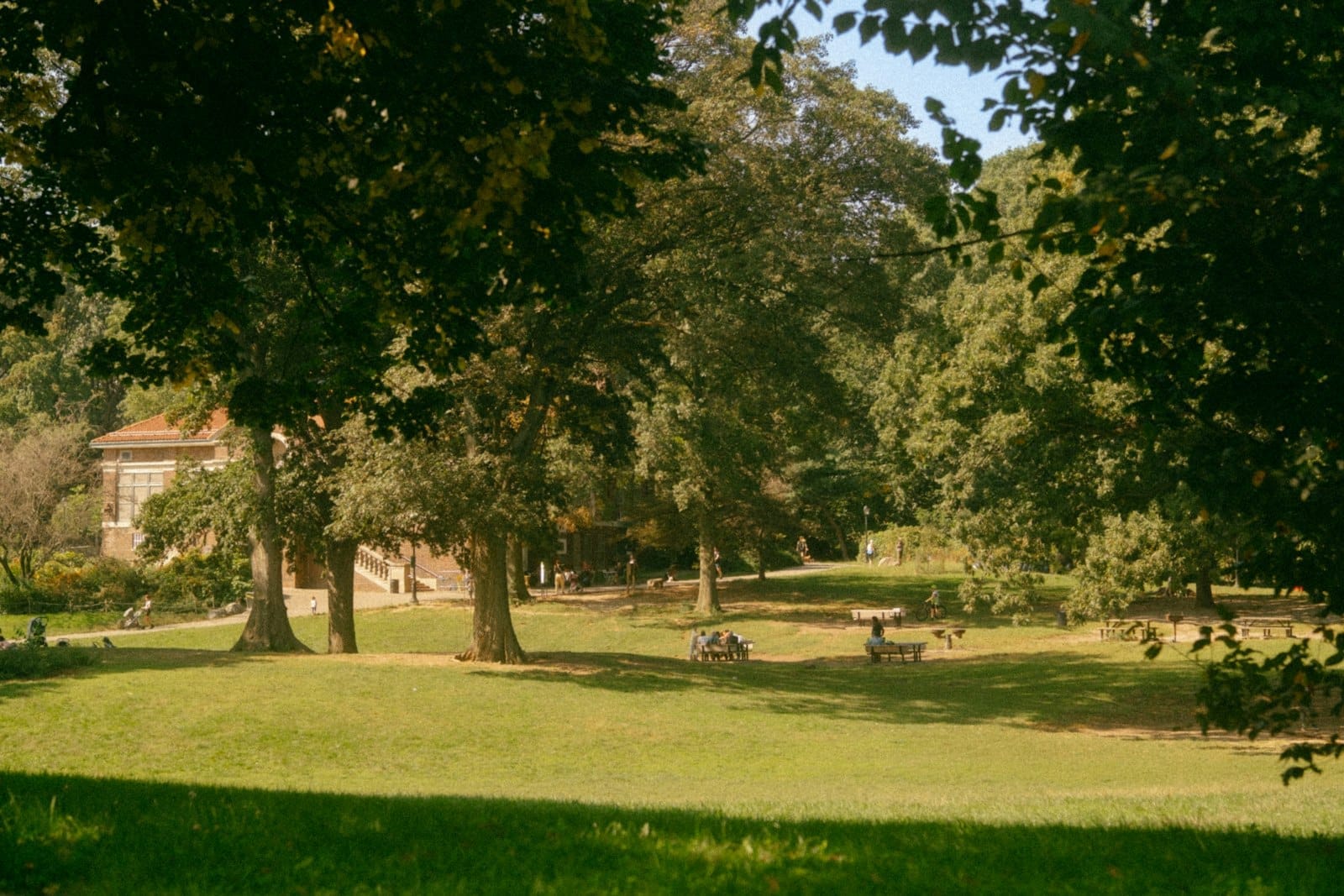 Vista del prato aperto di Prospect Park con alberi che fanno ombra, persone che si rilassano e fanno picnic, e un edificio del parco sullo sfondo in una giornata di sole.