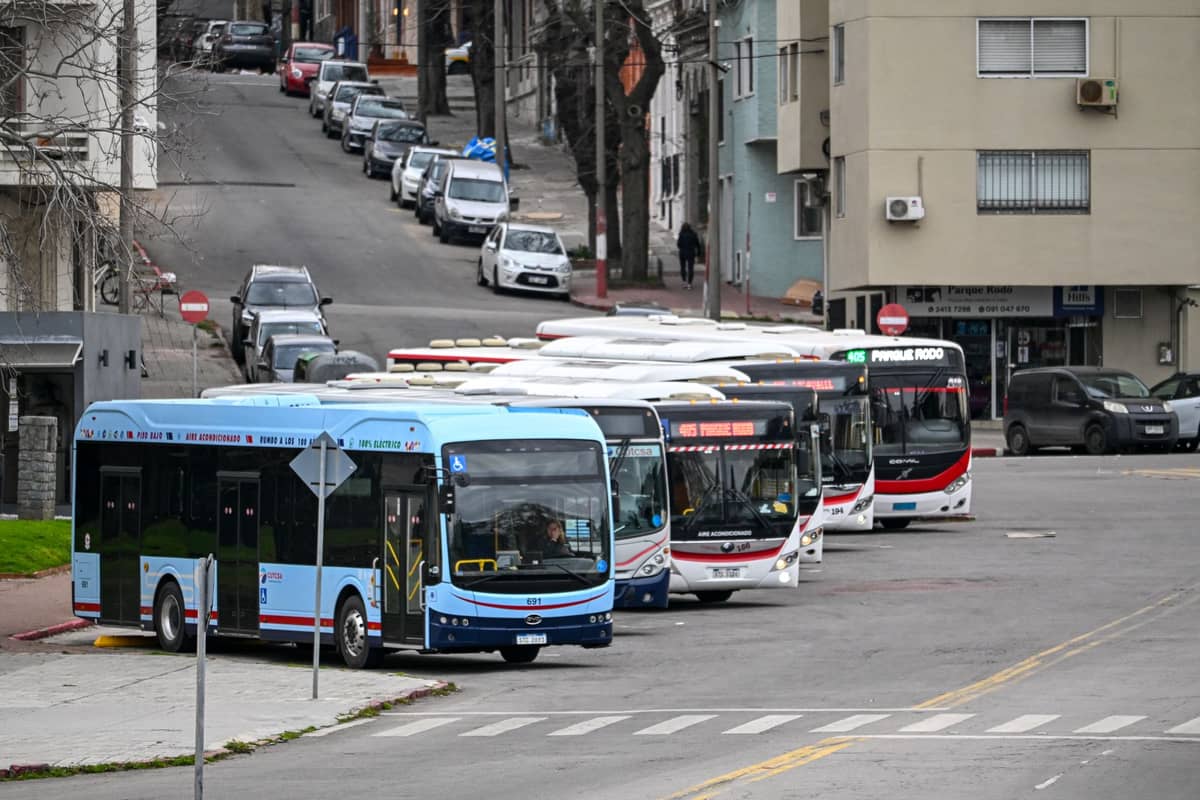 รถบัสระหว่างเมืองหลายคันของ Montevideo จอดเรียงแถวบนถนนในเมือง โดยมีอาคารที่พักอาศัยและรถยนต์เป็นฉากหลัง