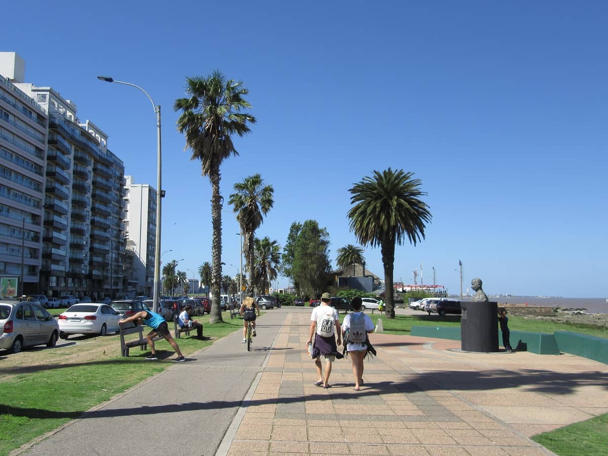 วิวกว้างของ Rambla de Montevideo พร้อมต้นปาล์ม อาคารอพาร์ตเมนต์สมัยใหม่ ผู้คนที่เดินและปั่นจักรยาน และรูปปั้นตามแนวทางเดินริมชายฝั่ง