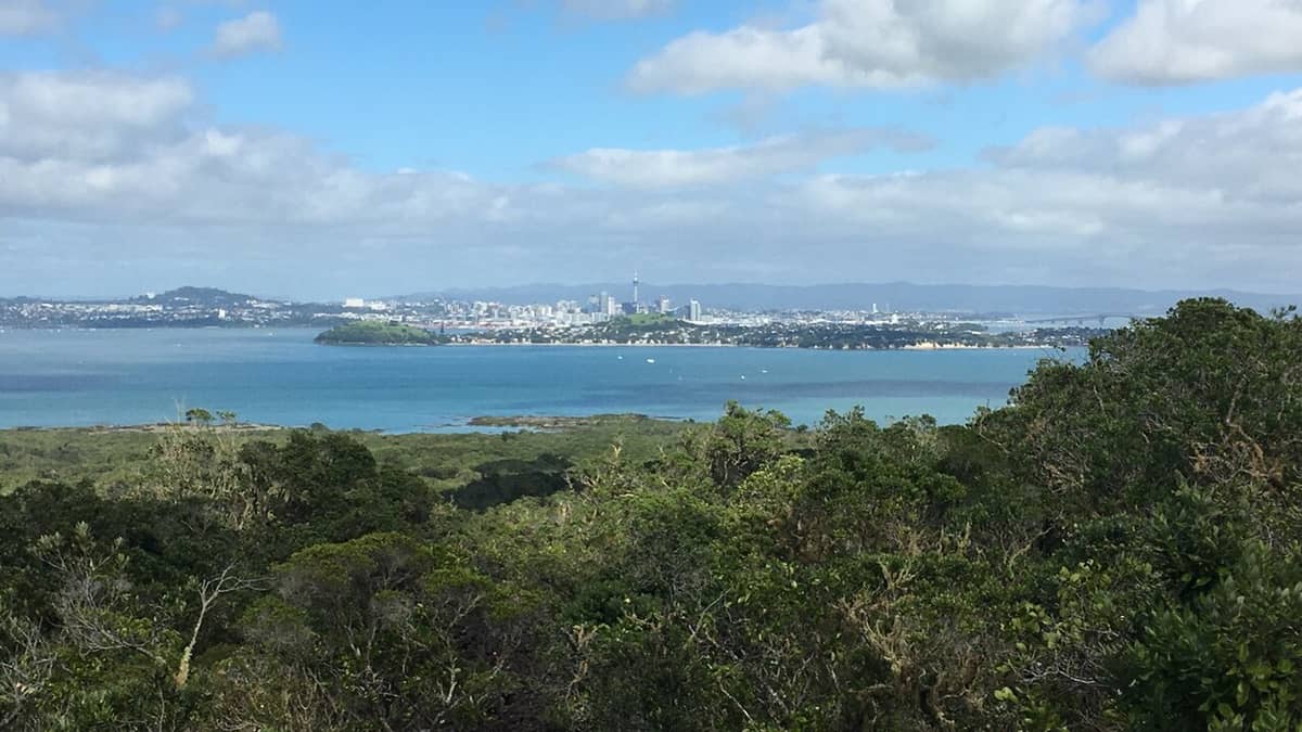 Blick vom Gipfel der Rangitoto Island Richtung Auckland: vulkanische Vegetation, blaues Wasser und die Skyline der Stadt in der Ferne.