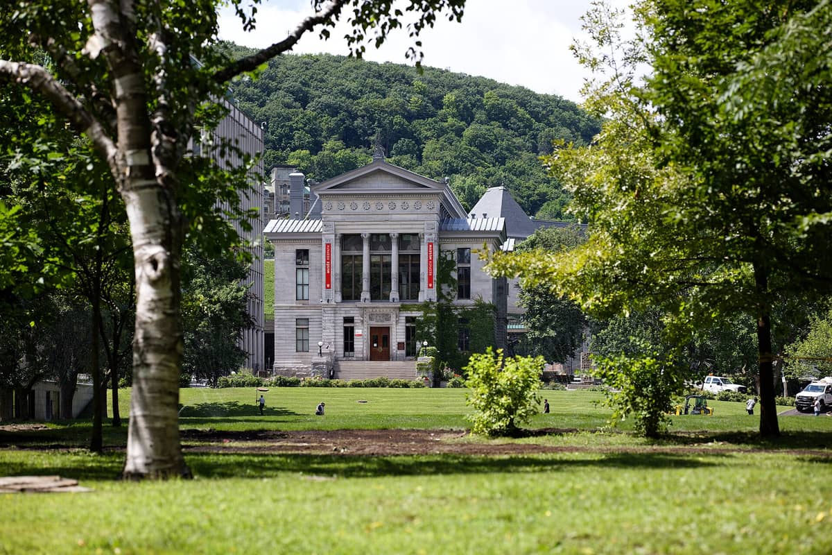 Blick auf die Steinfassade des Redpath Museums aus dem 19. Jahrhundert mit Säulen und viktorianischer Architektur, fotografiert von der Rasenfläche des McGill-Campus im Sommer, umgeben von Bäumen.
