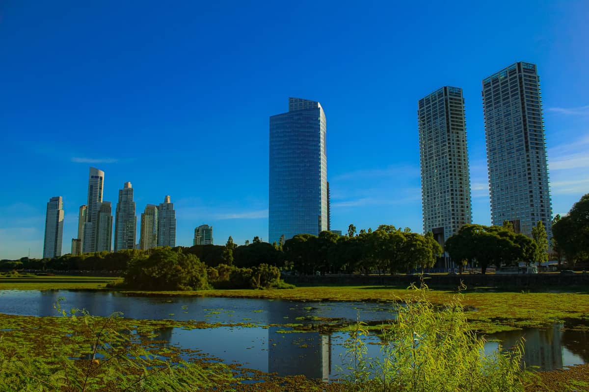 วิวบึง Reserva Ecológica Costanera Sur มีพืชน้ำเขียวขจีด้านหน้าและตึกสูงใน Puerto Madero เป็นฉากหลังของบัวโนสไอเรส