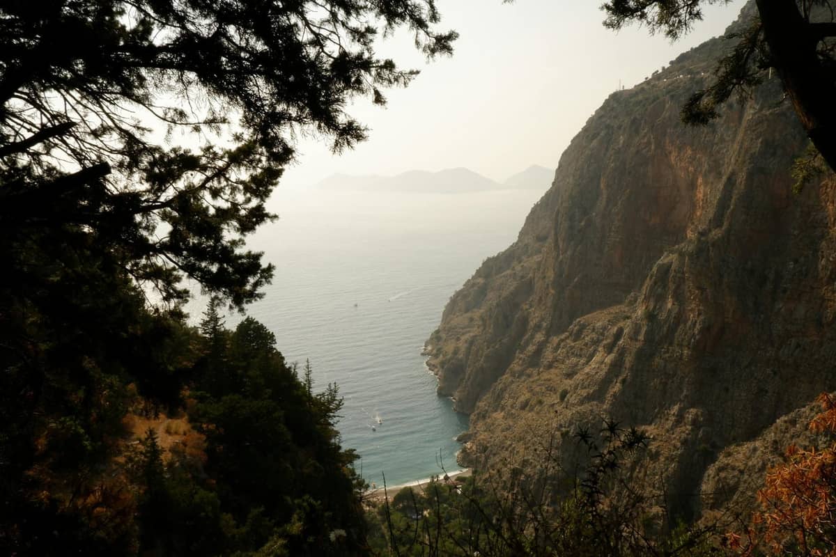A scenic view framed by trees, overlooking rugged cliffs and a bay with turquoise water below, evoking natural walks and viewpoints.