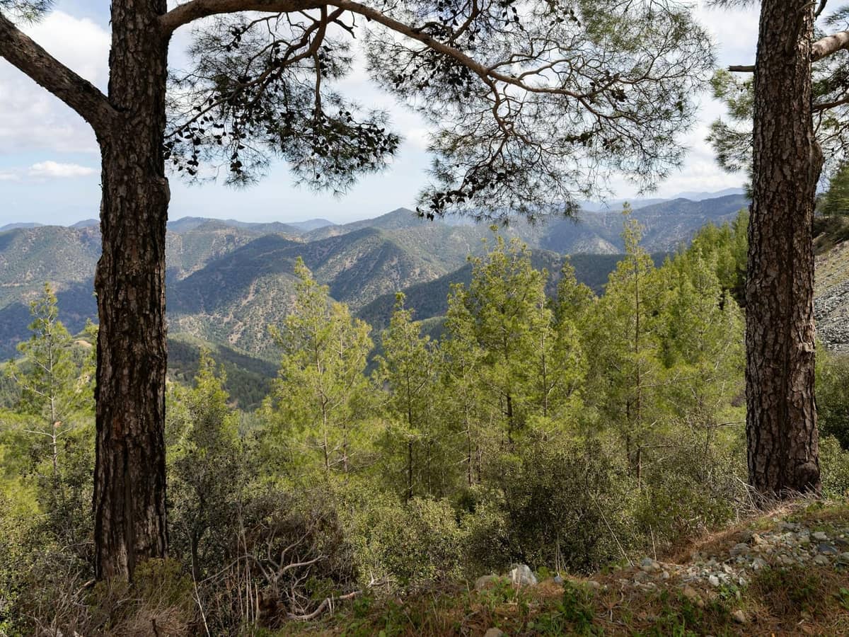 View through pine trees across green forested mountains under a partly cloudy sky in the interior of Rhodes.
