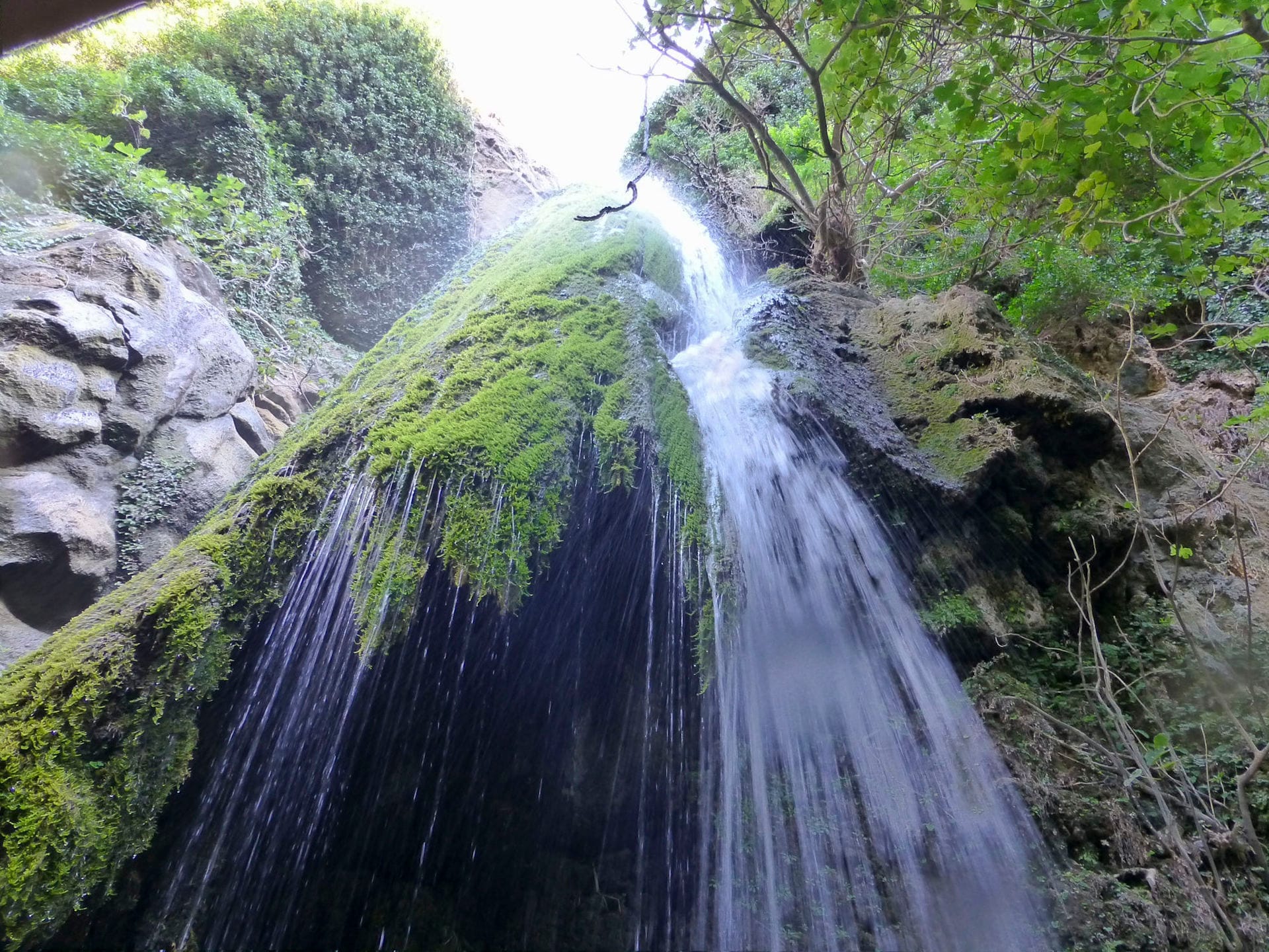 La cascata della gola di Richtis scorre su rocce ricoperte di muschio circondate da una rigogliosa vegetazione e scogliere frastagliate nella luce del giorno.