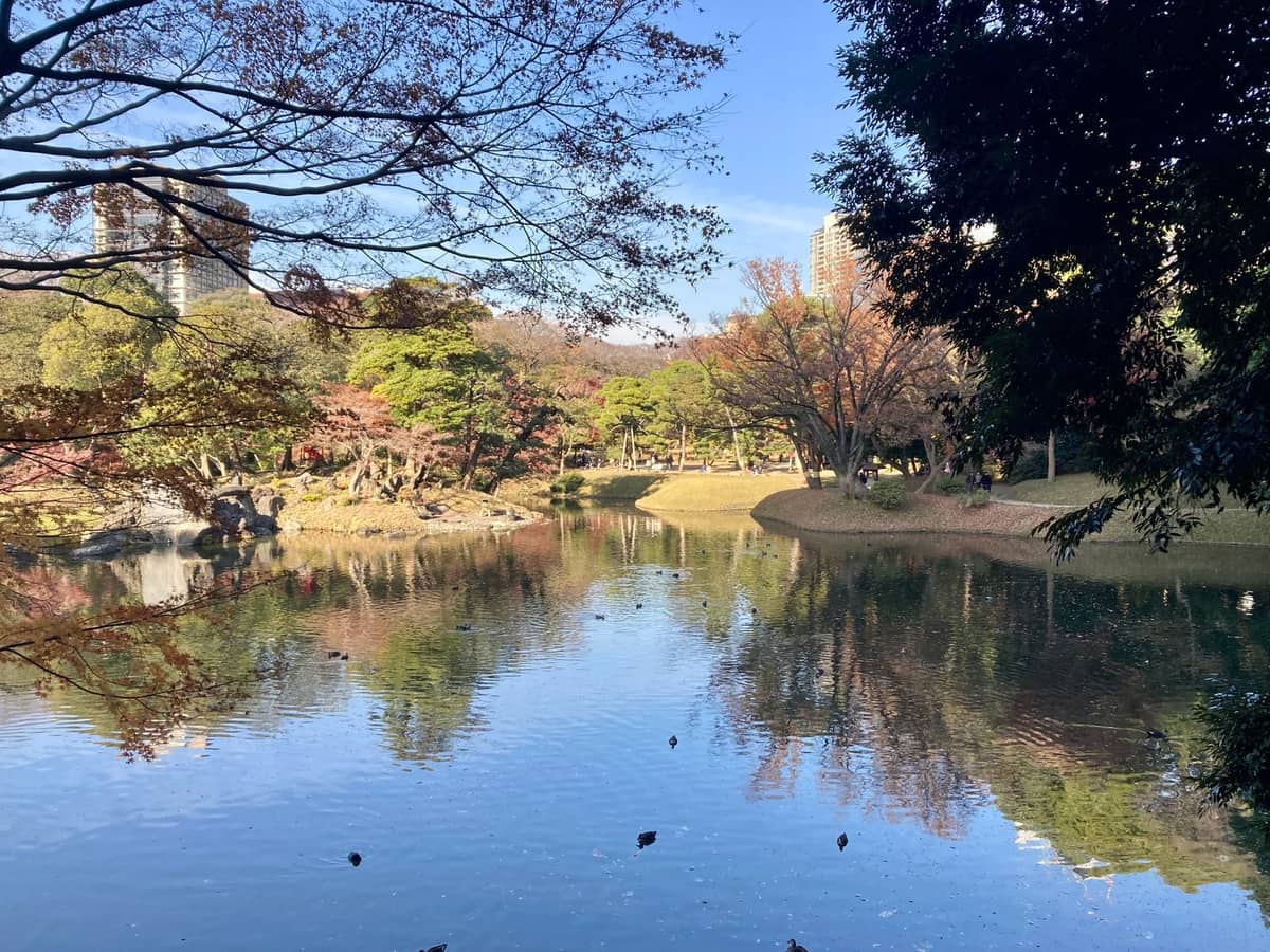 View across the central pond at Rikugien Garden in Tokyo, with reflections of trees and autumn foliage, showcasing a classic Edo-period landscape garden scene.