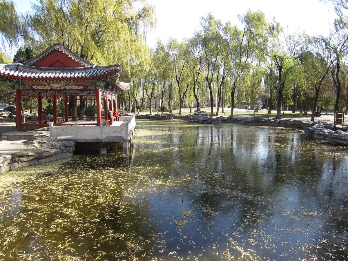 Traditioneller roter Pavillon mit Blick auf einen ruhigen Teich, umgeben von Weidenbäumen im Ritan Park, mit auf der Wasseroberfläche treibenden Blättern.