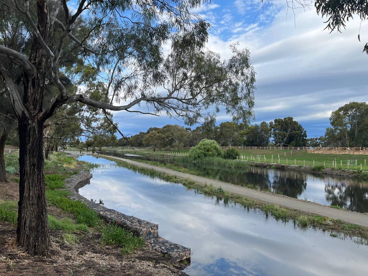 Peaceful scene along River Torrens Linear Park, featuring gum trees, grassy banks, a quiet path, and reflective river waters under a cloudy sky.