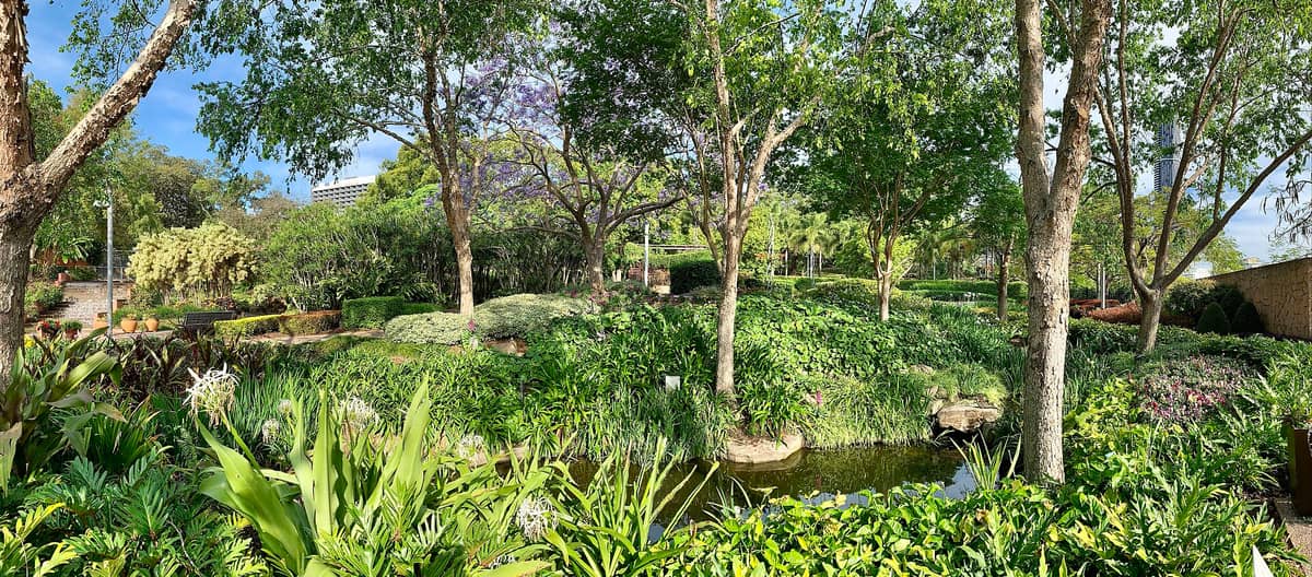Panoramablick auf üppige subtropische Gärten, Teiche und baumgesäumte Wege im Roma Street Parkland, im Hintergrund sind die Gebäude von Brisbane zu sehen.