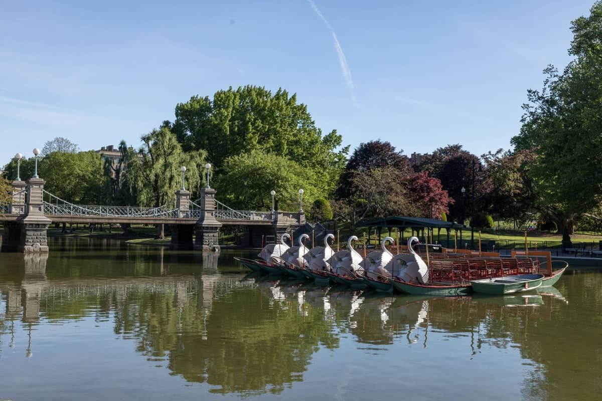 Teich im Boston Public Garden mit Swan Boats nahe einer eleganten Brücke, üppigen grünen Bäumen und klaren Spiegelungen im Wasser an einem sonnigen Tag.