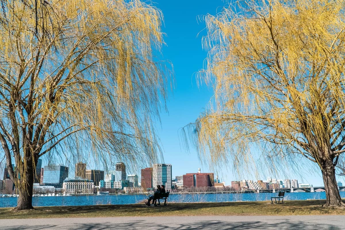 Paar sitzt auf einer Bank unter gelben Weidenbäumen mit Blick auf die Skyline von Boston und den Fluss an einem klaren Tag.