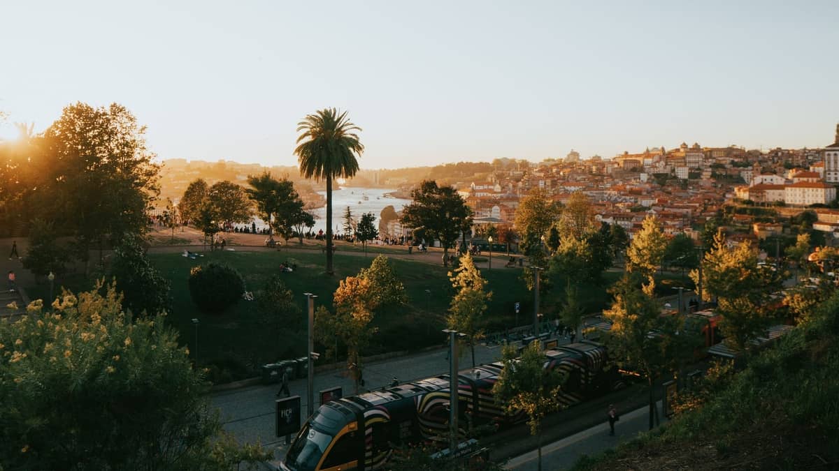 Personas descansando en un parque iluminado por el sol con vistas al río Douro y al paisaje urbano de Porto, con exuberante vegetación y palmeras en primer plano.