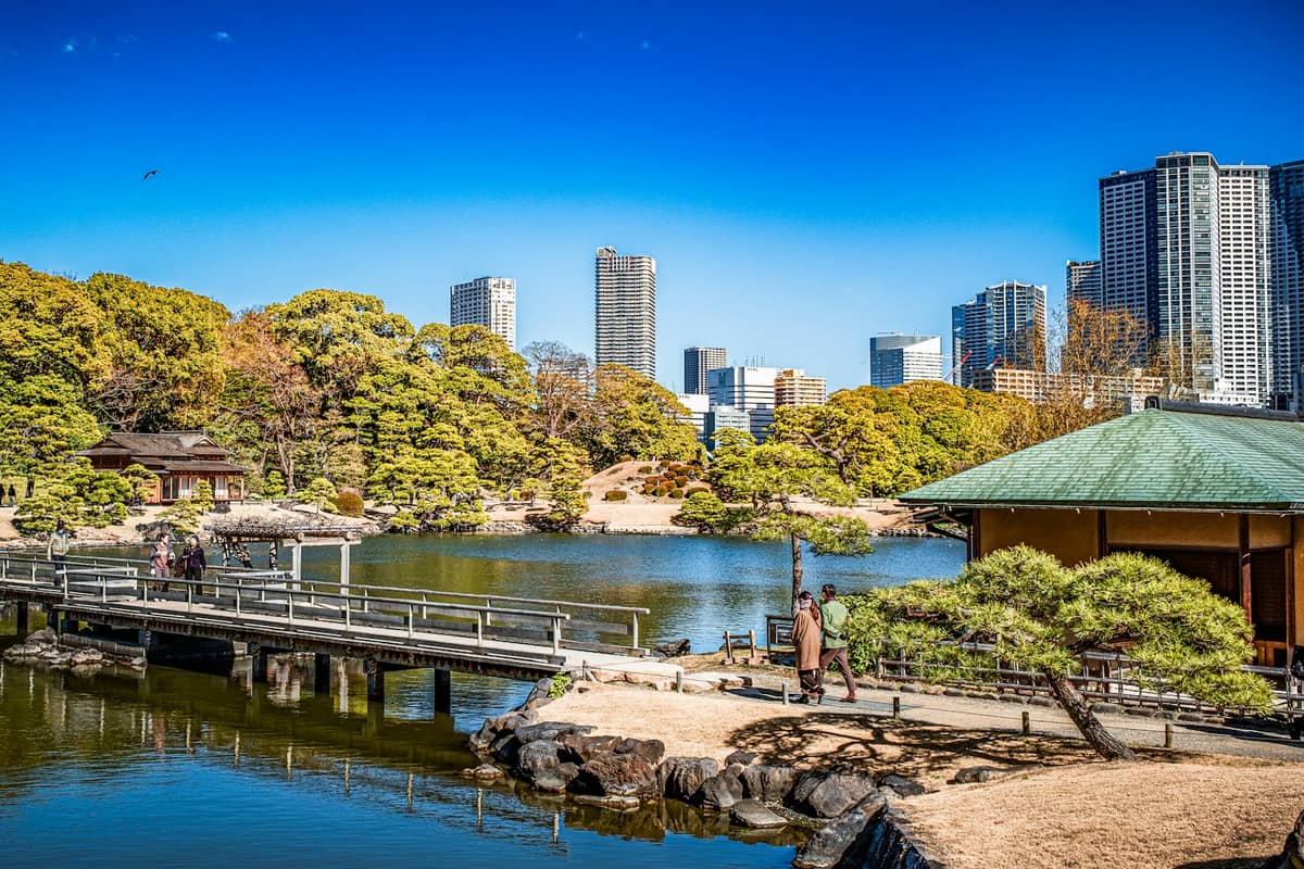 Traditional Japanese garden with a pond, wooden bridge, tea house, lush greenery, and modern Tokyo skyscrapers in the background under a clear blue sky.