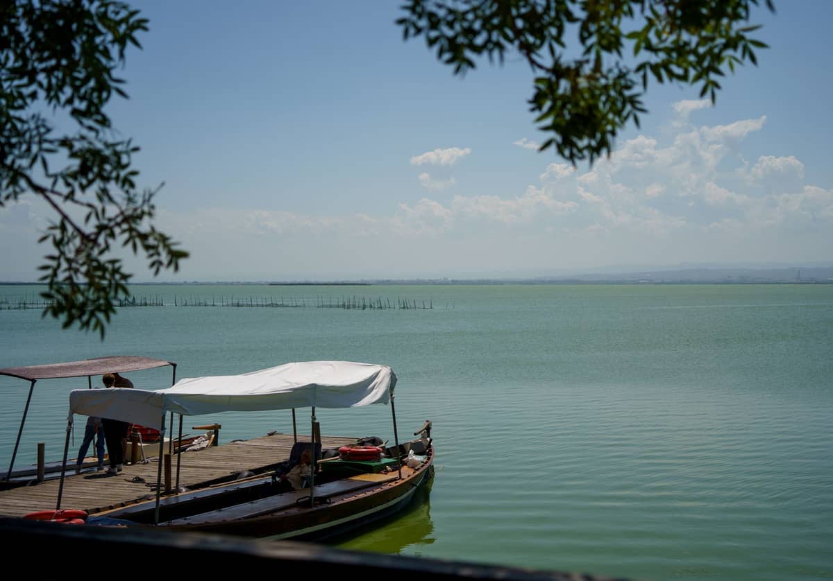 Un petit bateau en bois avec un auvent accoste sur la lagune calme et verdoyante de l'Albufera, encadré par des branches d'arbres et des montagnes lointaines.