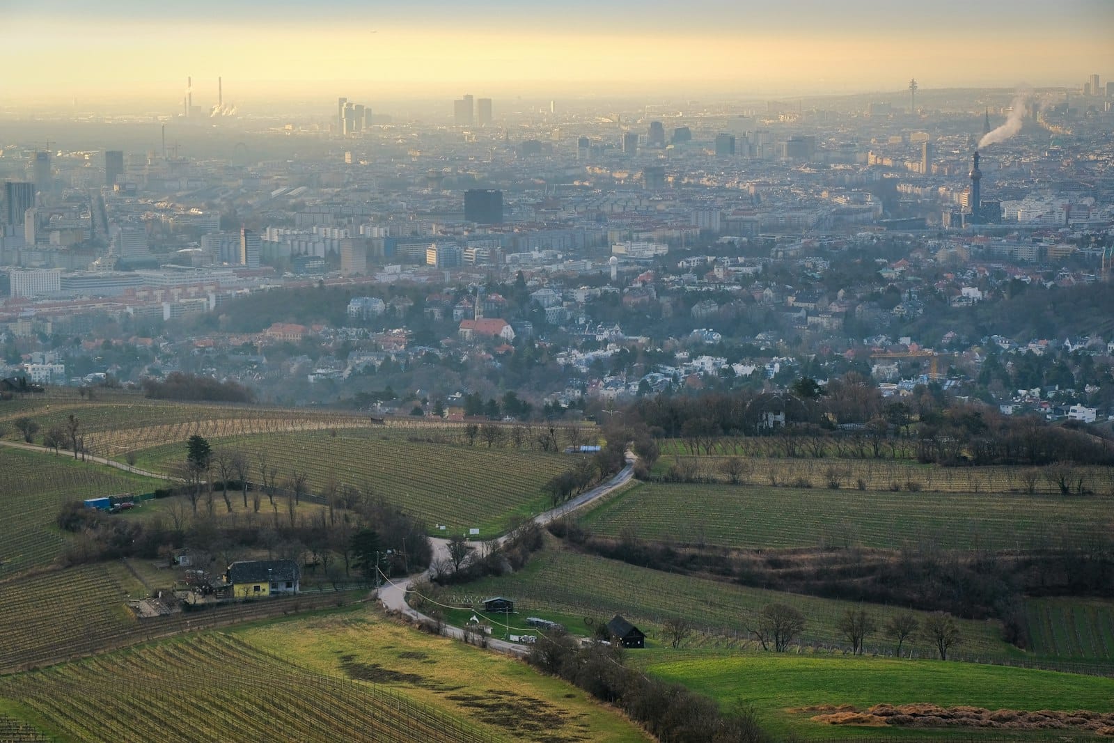 Weitläufiger Blick über Wien vom Wienerwald aus, mit Stadtsilhouette, Weinbergen, grünen Feldern und gewundenen Wegen bei Sonnenuntergang.
