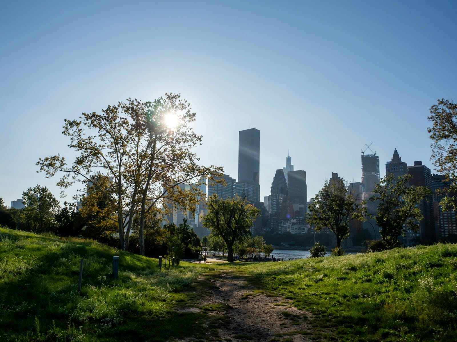 Vista da Roosevelt Island con prato verde, alberi e un sentiero sterrato che conduce verso lo skyline di Manhattan sotto un cielo azzurro e il sole del mattino.