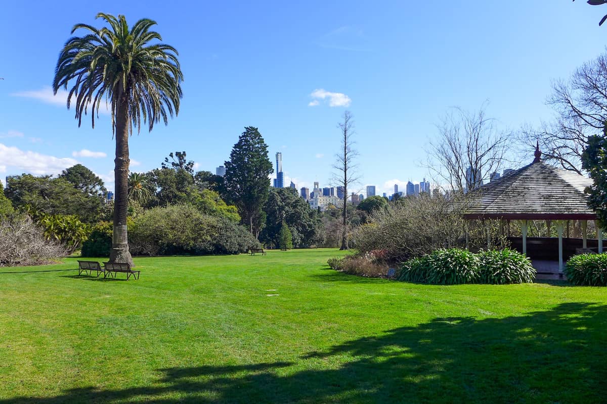 Amplio prado con una palmera alta, bancos de madera y un pabellón en los Royal Botanic Gardens de Melbourne, con el skyline de la ciudad al fondo bajo un cielo azul.