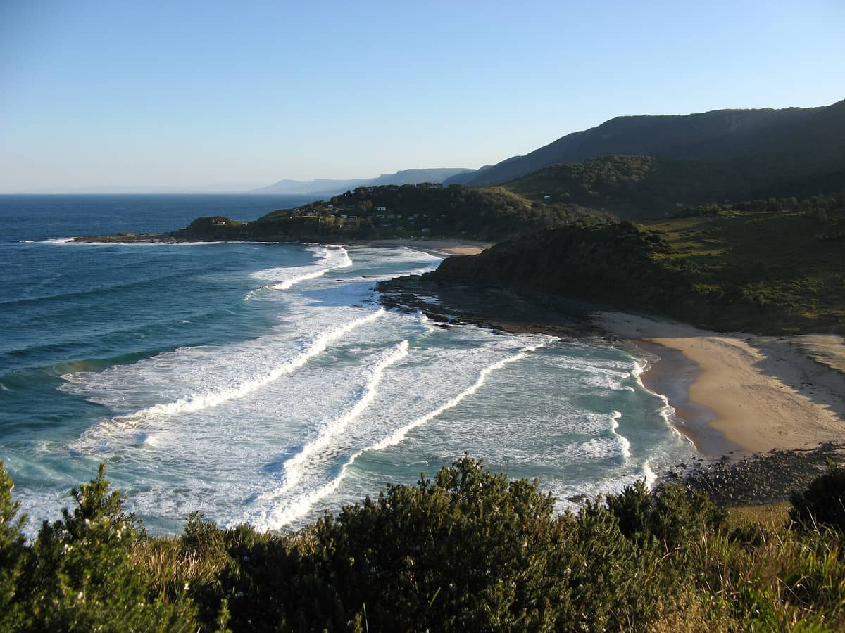 Olas rompiendo en una playa de arena bordeada por acantilados verdes en el Royal National Park, con cielo azul despejado y vegetación costera a la vista.