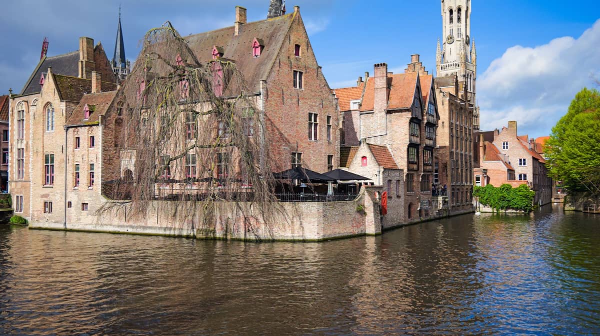 Daytime view of Rozenhoedkaai in Bruges with brick gabled medieval houses, canal, drooping willow, and Belfry tower in the background under a blue sky.