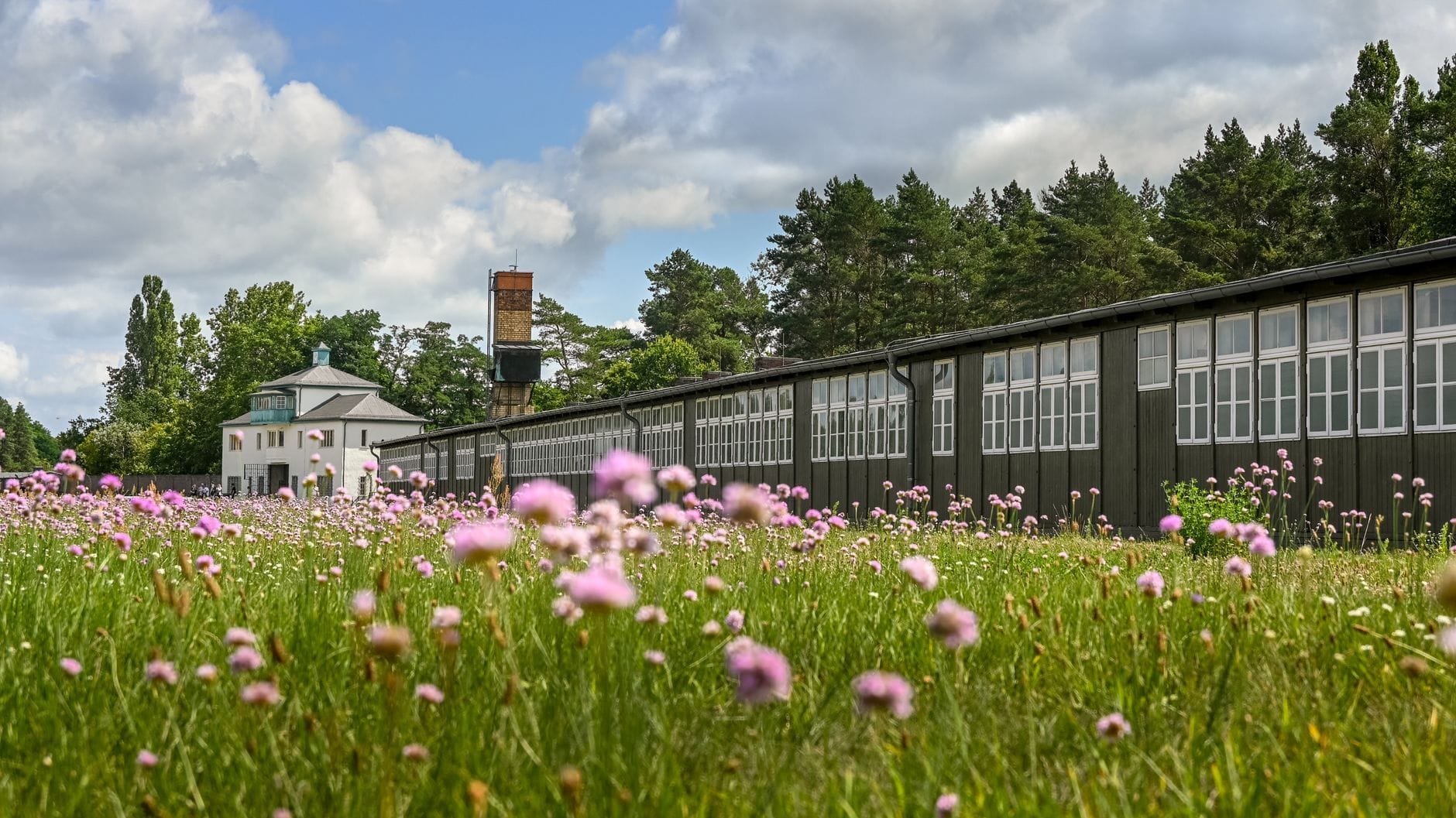 Vista ampia del Memoriale di Sachsenhausen con un prato verde e fiori selvatici in primo piano, edifici storici del campo e alberi sotto un cielo parzialmente nuvoloso.