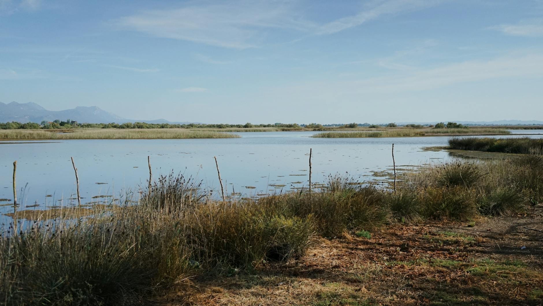 Ampio paesaggio di una zona umida tranquilla con acque ferme, canneti e montagne lontane sotto un cielo azzurro, rappresenta la Riserva Naturale di S'Albufera a Maiorca.