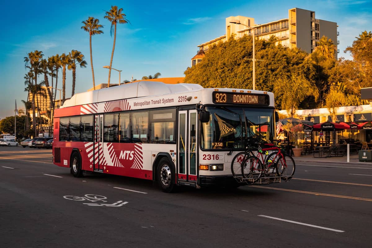 รถโดยสารประจำเมืองของ Metropolitan Transit System บนถนนในซานดิเอโก มีต้นปาล์มและอาคารเป็นฉากหลัง วันที่อากาศแจ่มใส