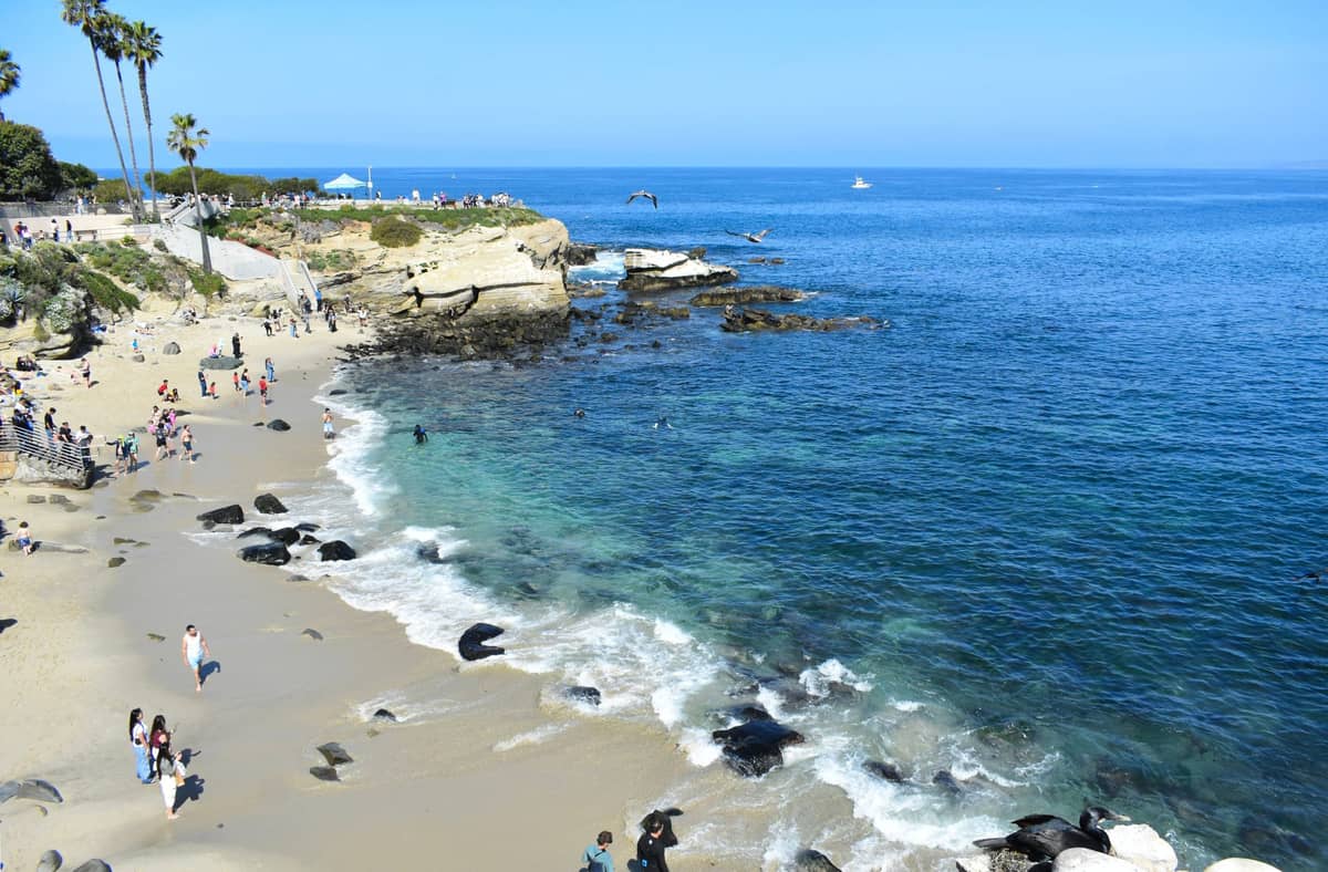Blick auf die La Jolla Cove in San Diego mit Familien und Kindern am Sandstrand, ruhenden Seelöwen am Ufer und klarem blauem Meerwasser unter strahlend blauem Himmel.
