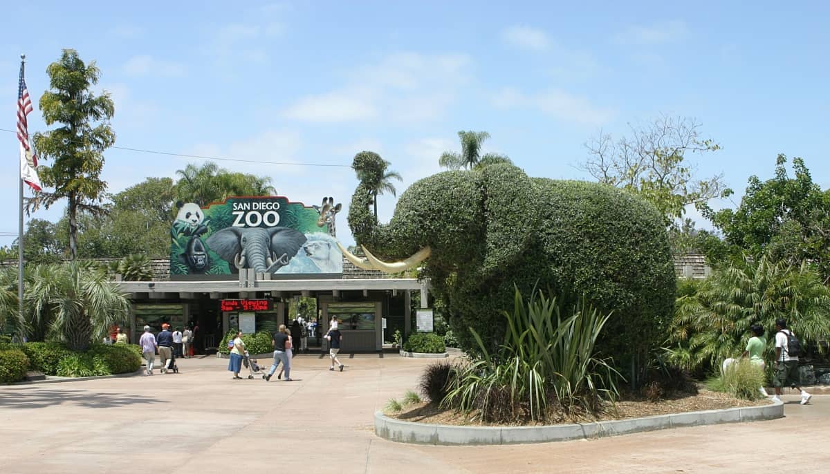 Eingang zum San Diego Zoo mit einem großen Tierwandgemälde, üppigem Grün und einem elefantenförmigen Formschnitt unter einem sonnigen Himmel.