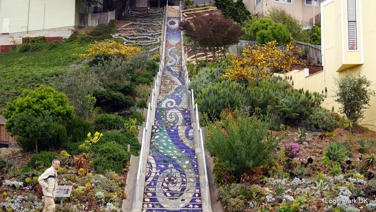 Die gekachelten Stufen der 16th Avenue in San Francisco, mit einer langen Mosaiktreppe, die einen steilen Hügel hinaufführt, umgeben von üppigen Gärten und Häusern der Nachbarschaft.
