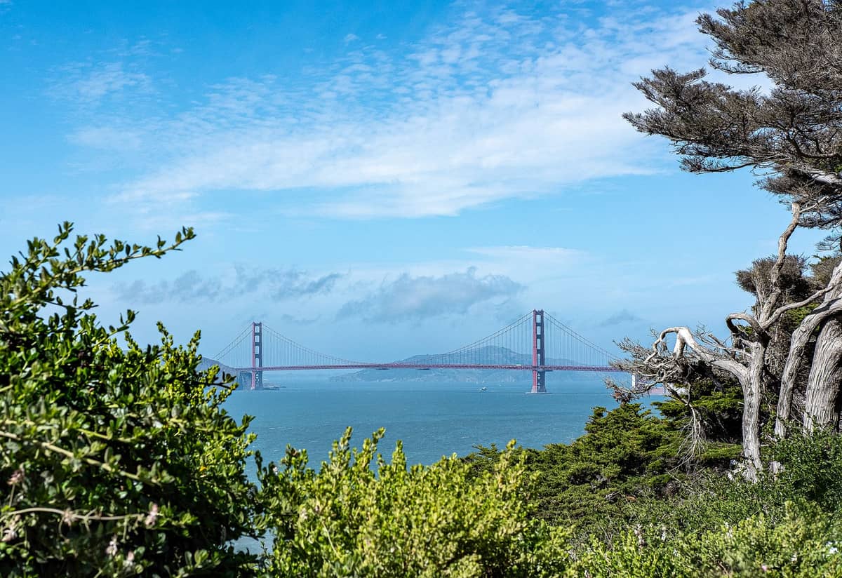 Vista panorámica del puente Golden Gate enmarcado por vegetación y árboles bajo un cielo azul brillante en San Francisco.