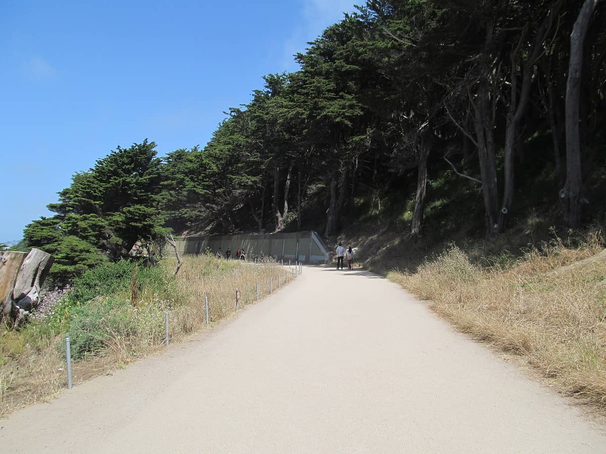 Ampio sentiero lungo le scogliere costiere a Lands End, San Francisco, fiancheggiato da cipressi e erbe, con persone che camminano in lontananza in una giornata di sole.