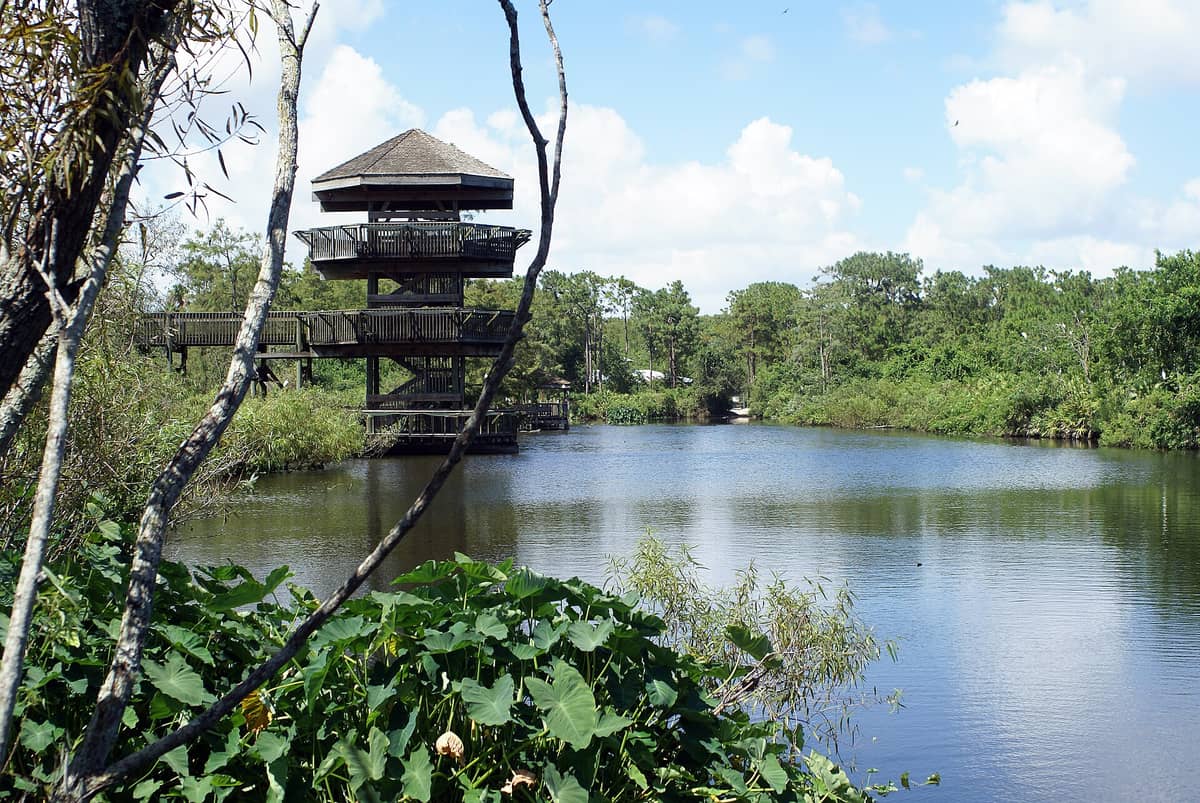 A wooden multi-level observation tower overlooks a calm river surrounded by green vegetation under a blue sky in Sanford, Florida.