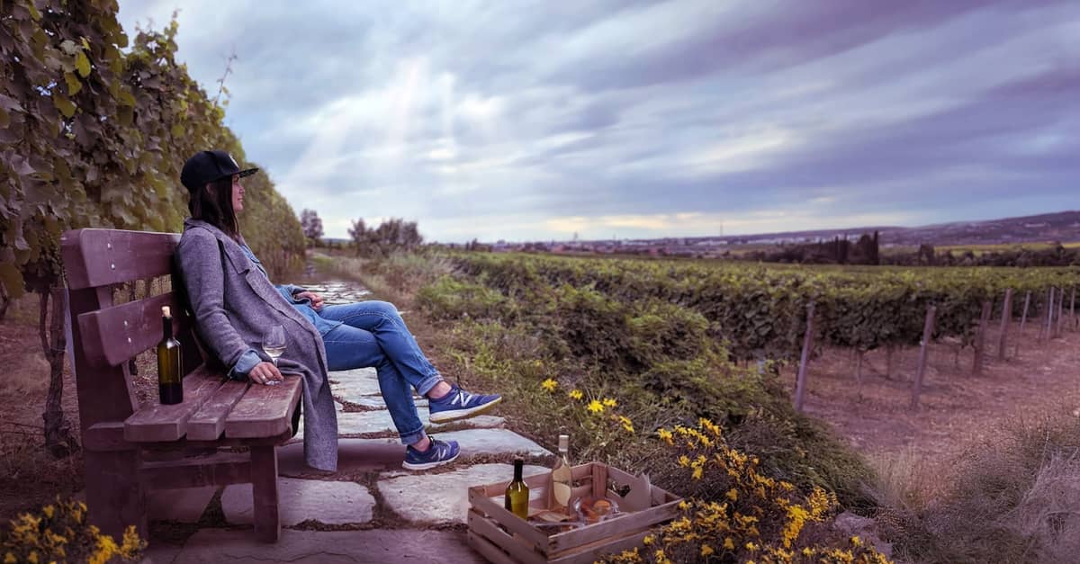 Dos personas descansan en un banco con vistas a un exuberante viñedo al atardecer, con botellas de vino y copas en primer plano.