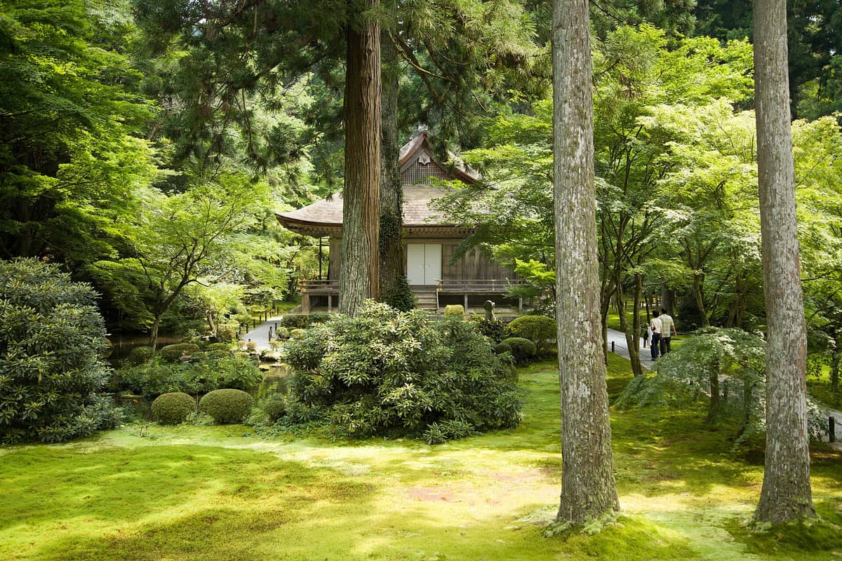 Sanzen-in Temple’s main hall nestled among tall cedar trees and lush moss gardens in Ohara, Kyoto, with a pond and pathway visible.