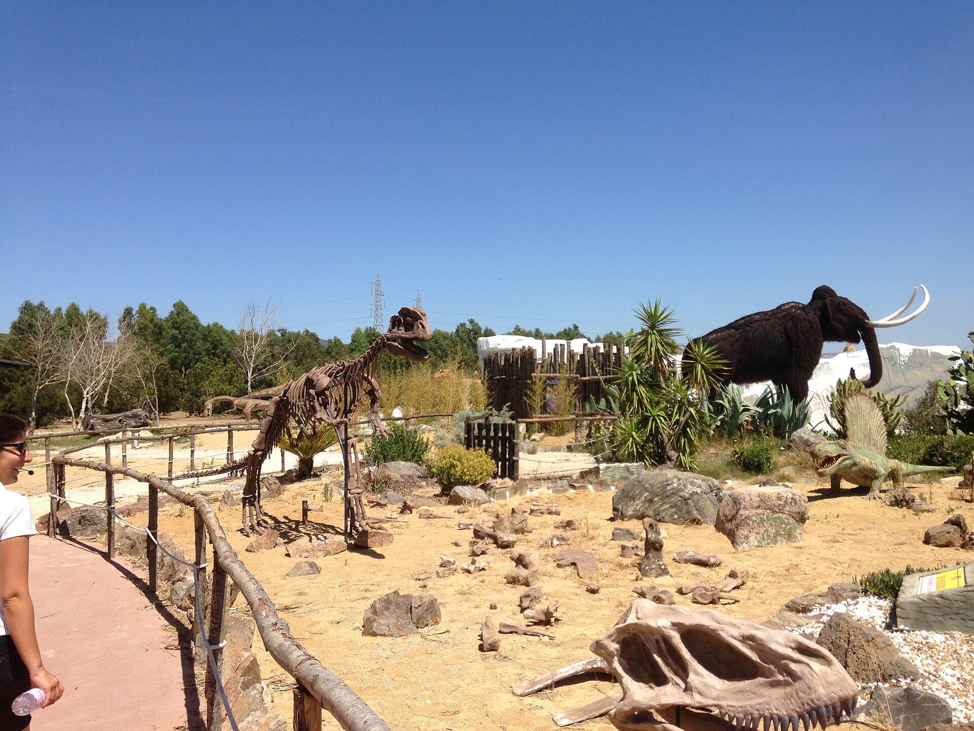 Dinosaurierskelette, ein Wollmammut-Modell und prähistorische Pflanzen werden im Freien im Parco Sardegna in Miniatura unter einem klaren blauen Himmel ausgestellt.