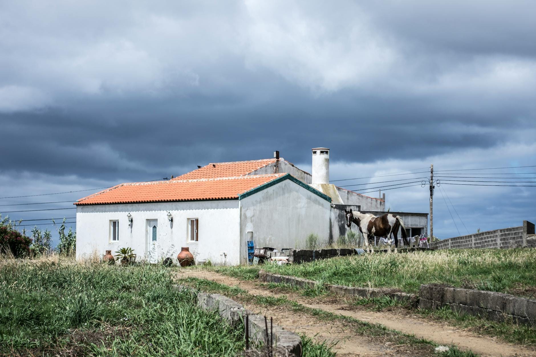 Bauernhaus mit weißen Wänden und rotem Ziegeldach, in der Nähe stehende Kuh, ländliche Landschaft mit bewölktem Himmel und unbefestigtem Weg im Vordergrund.