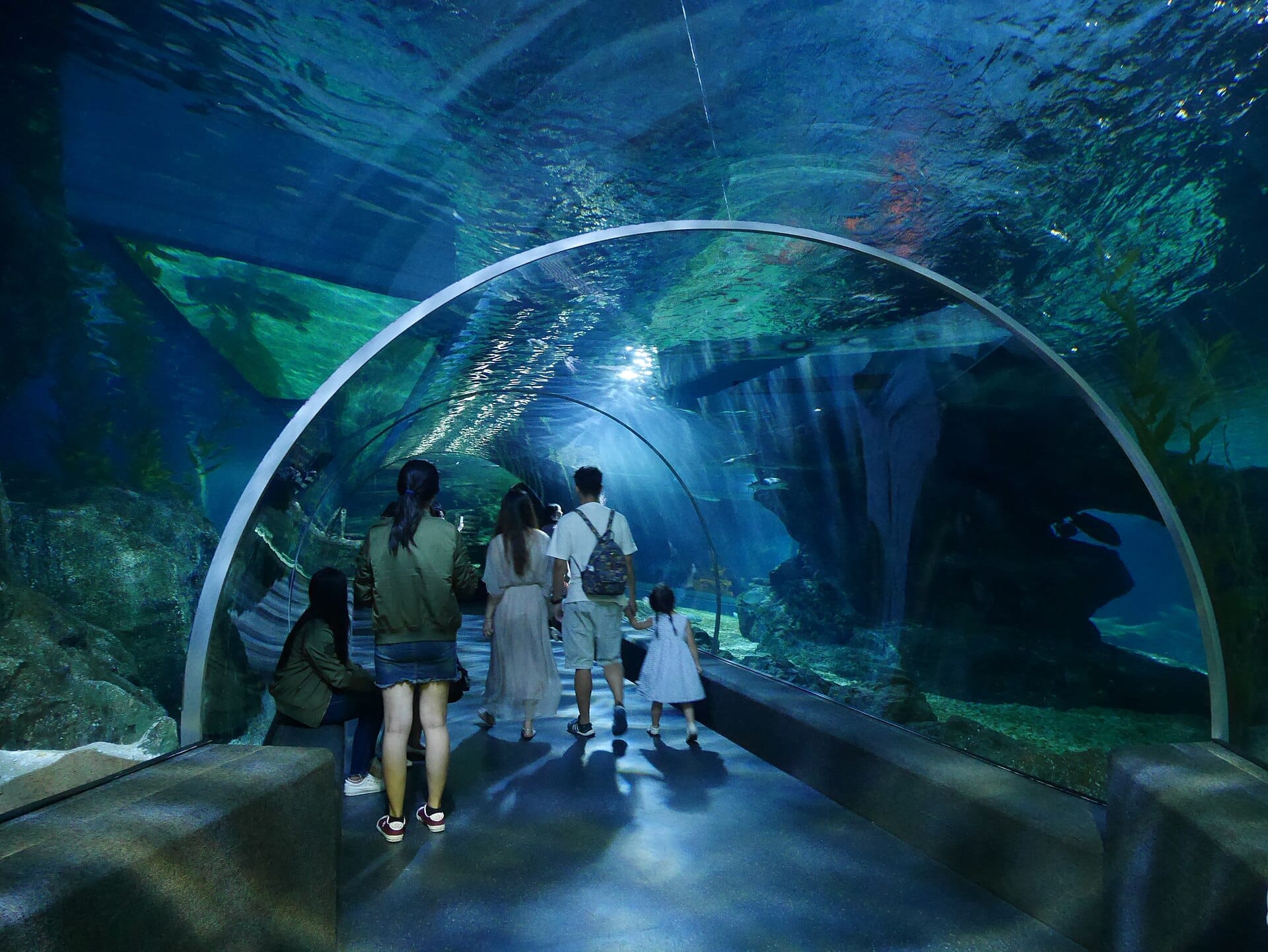 Tunnel sottomarino del SEA LIFE Bangkok Ocean World con visitatori che camminano sott'acqua