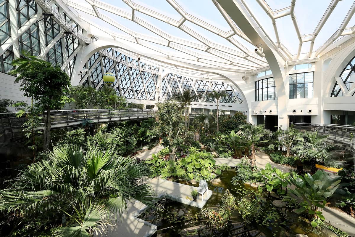 Interior da grande estufa de vidro climatizada do Parque Botânico de Seul, repleto de plantas tropicais, luz natural abundante, arquitetura moderna e muita vegetação.
