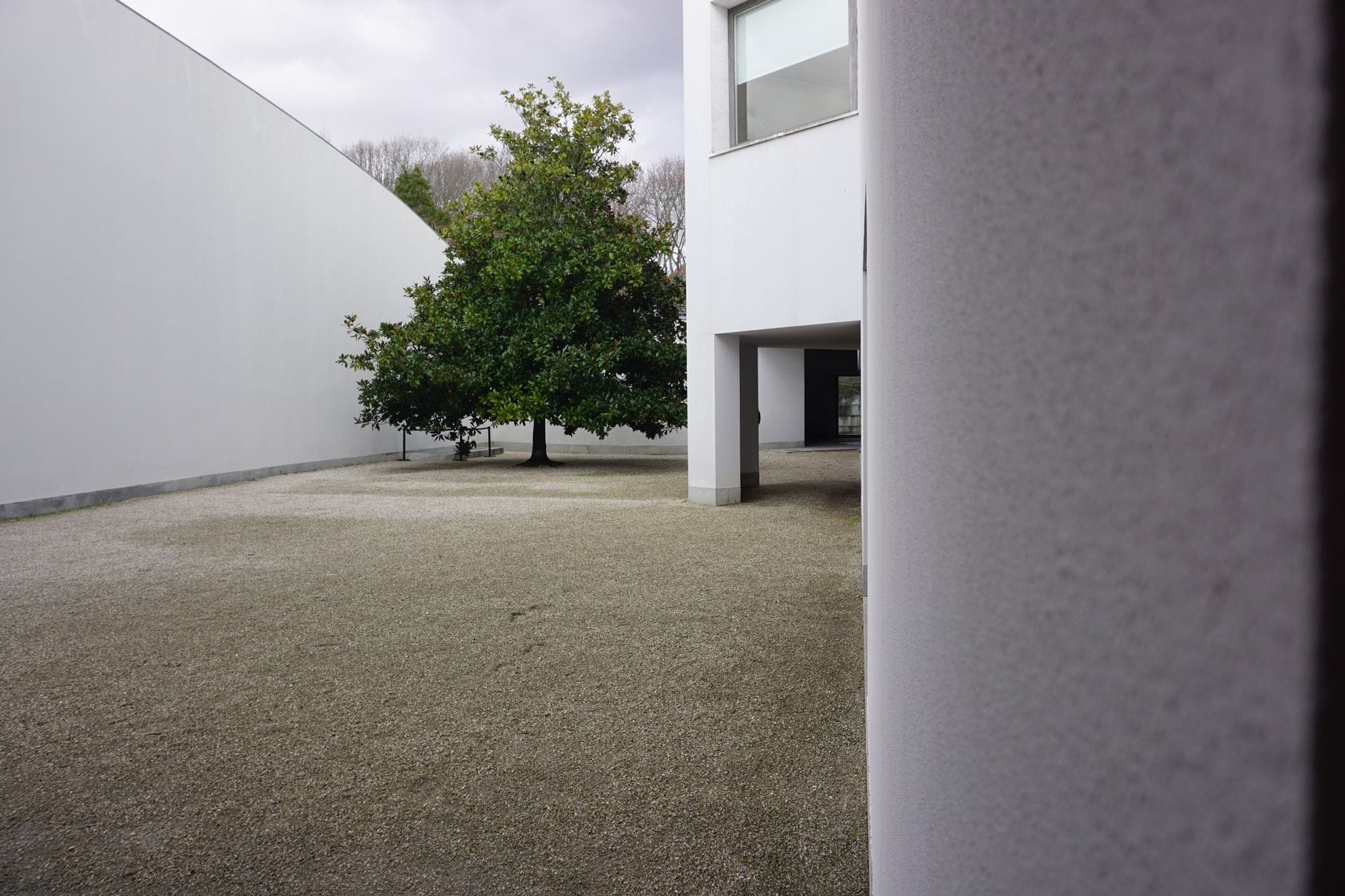 Vista esterna del Museo di Serralves con la sua architettura moderna e bianca, grandi finestre e un albero frondoso in un cortile di ghiaia sotto un cielo nuvoloso.