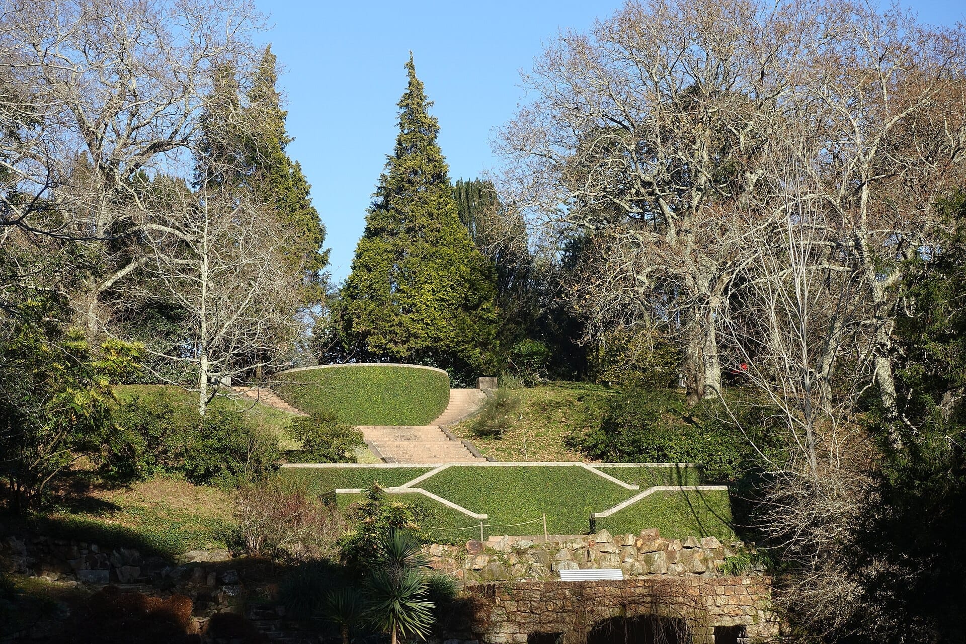 Gradini in pietra e siepi curate salgono lungo un pendio boscoso nel Parco di Serralves, incorniciati da alberi alti e spogli sotto un cielo azzurro e limpido.