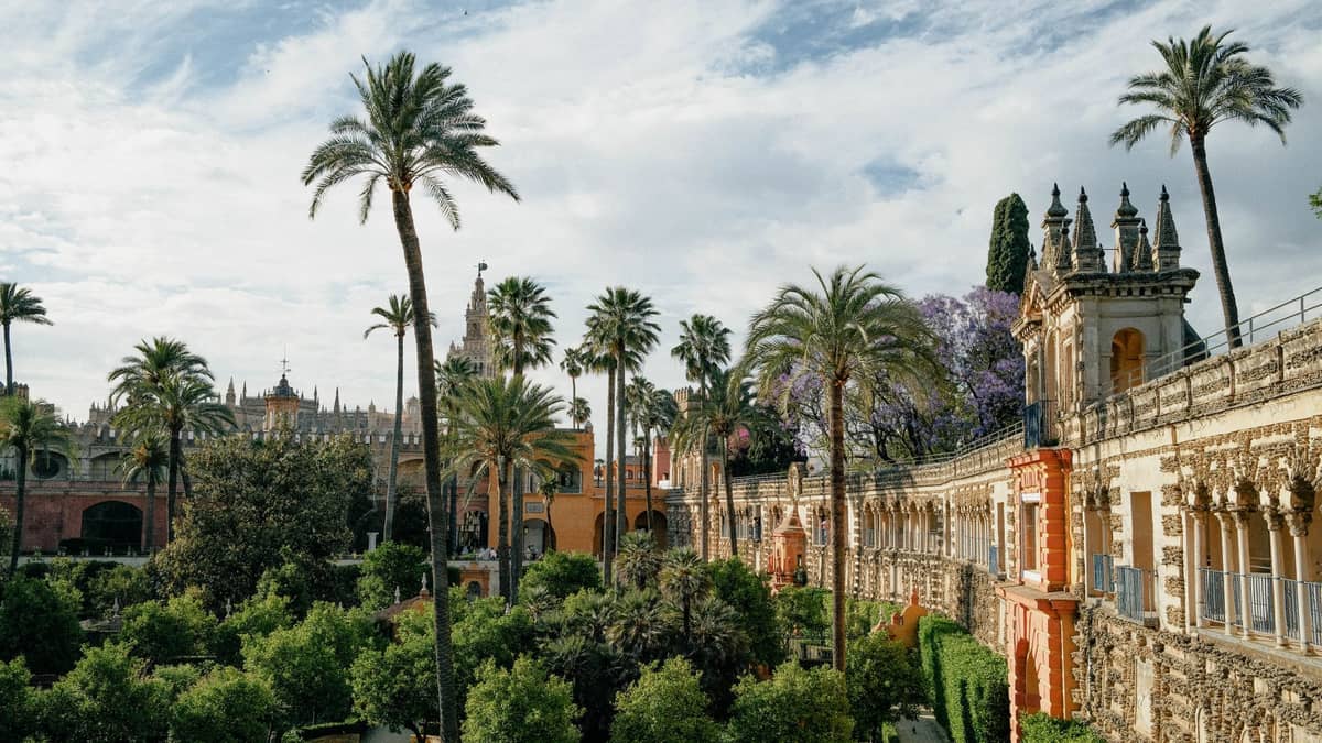 วิวพาโนรามาของสวนสีเขียวชอุ่มและสถาปัตยกรรมประวัติศาสตร์ของ Real Alcázar แห่งเมือง Seville พร้อมต้นปาล์มและพืชพรรณที่บานสะพรั่งใต้ท้องฟ้าสดใส