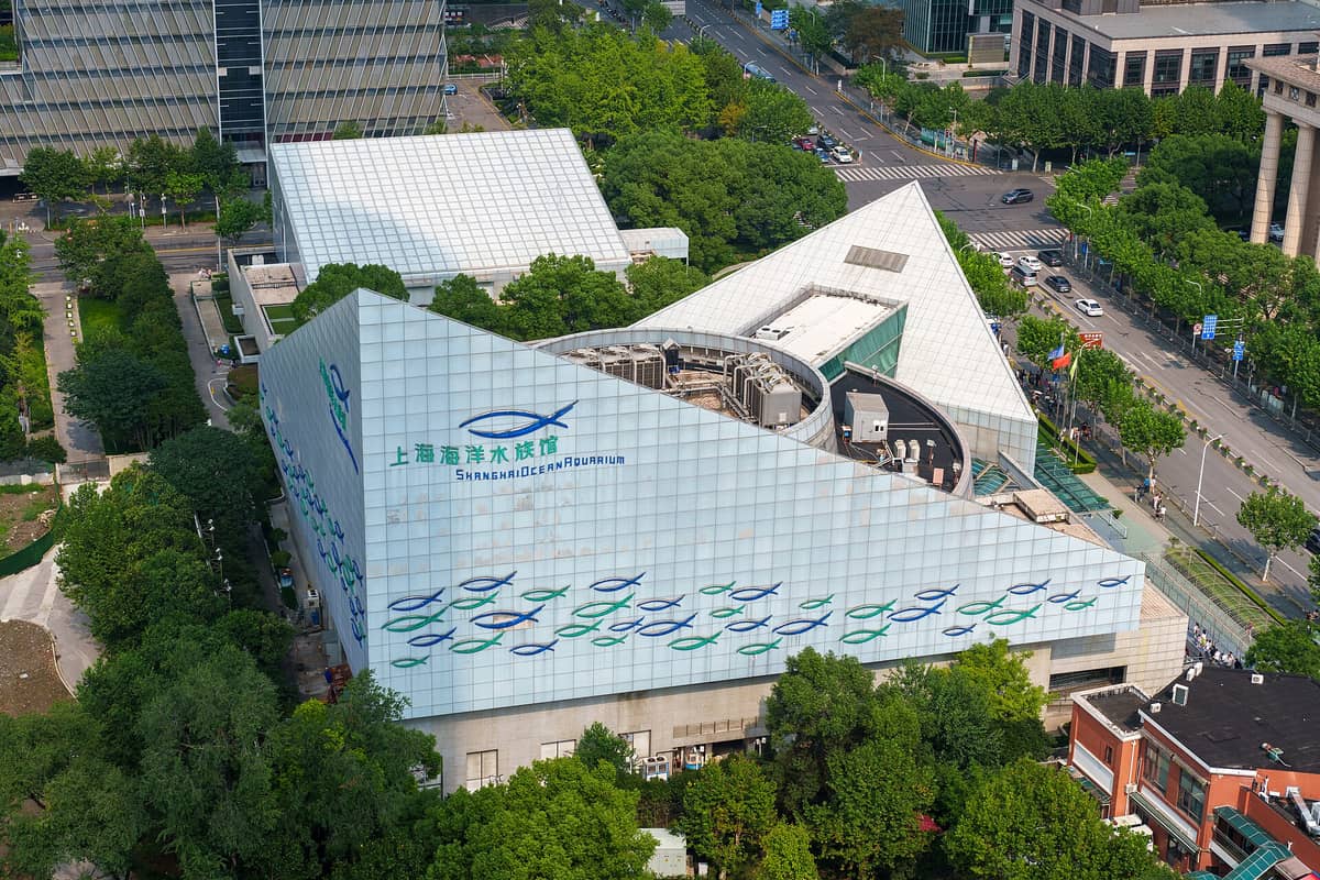 Luftaufnahme des Shanghai Ocean Aquariums mit seiner markanten eckigen Glasfassade und dem Logo, umgeben von Bäumen und Stadtstraßen.